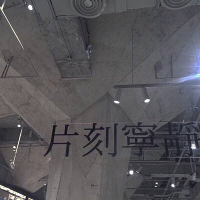 皇家枪战方形战场无限金币破解版下载