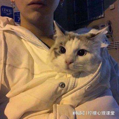 屠杀霸业2手游下载